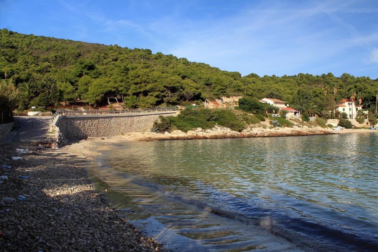 Apartments By The Sea Milna, Vis - 8895 Rukavac  Exterior foto